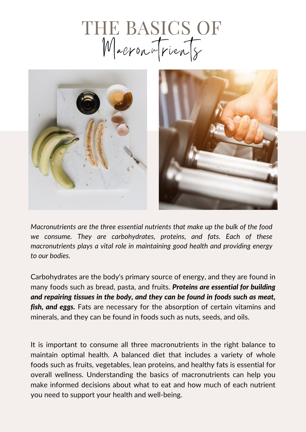 The Complete Nutrition Bundle - 7 Items by 1Yard1