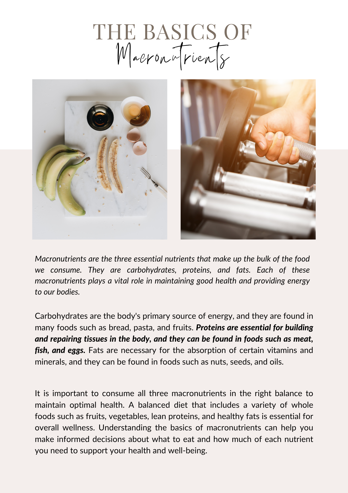 The Complete Nutrition Bundle - 7 Items by 1Yard1