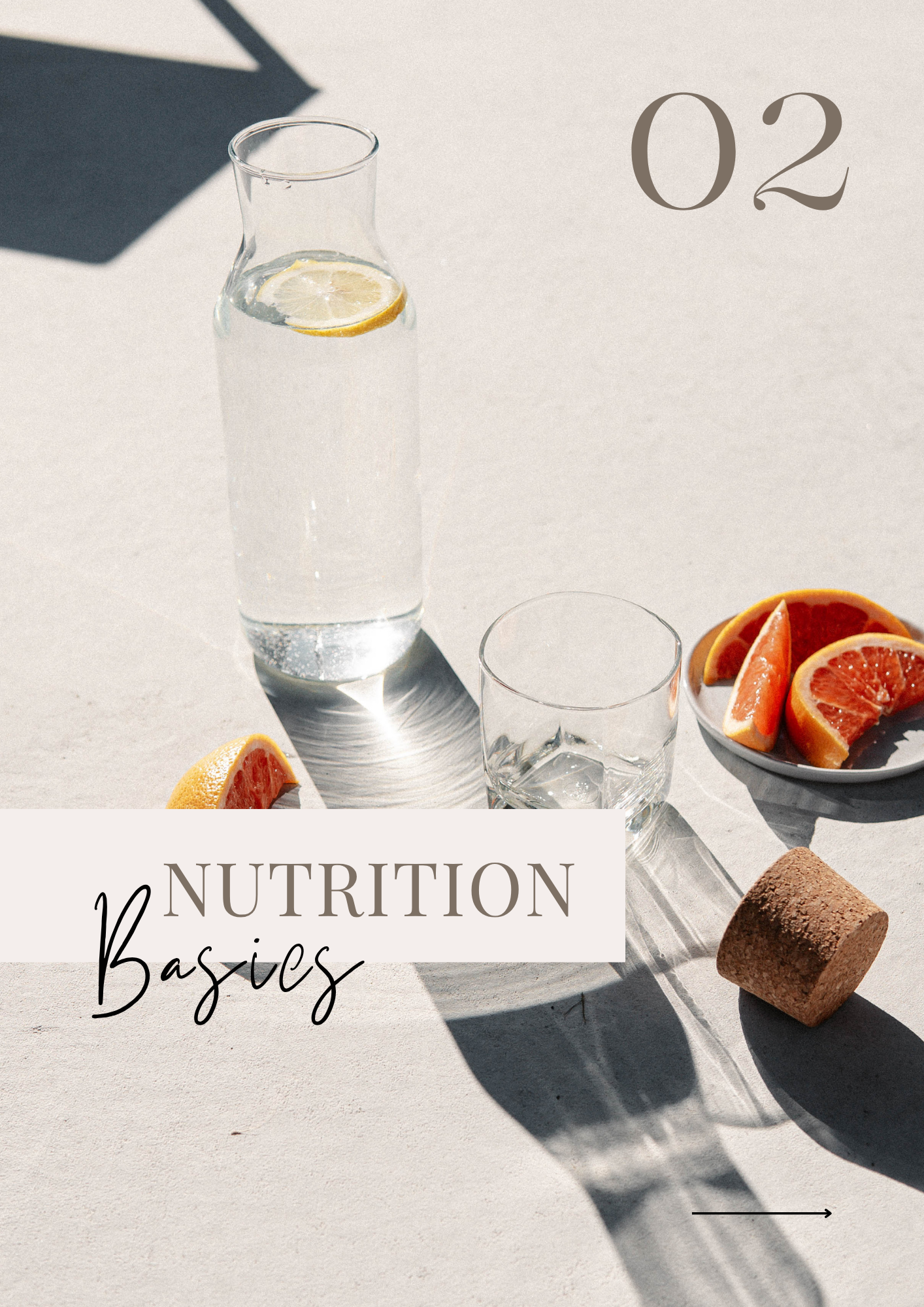 The Complete Nutrition Bundle - 7 Items by 1Yard1