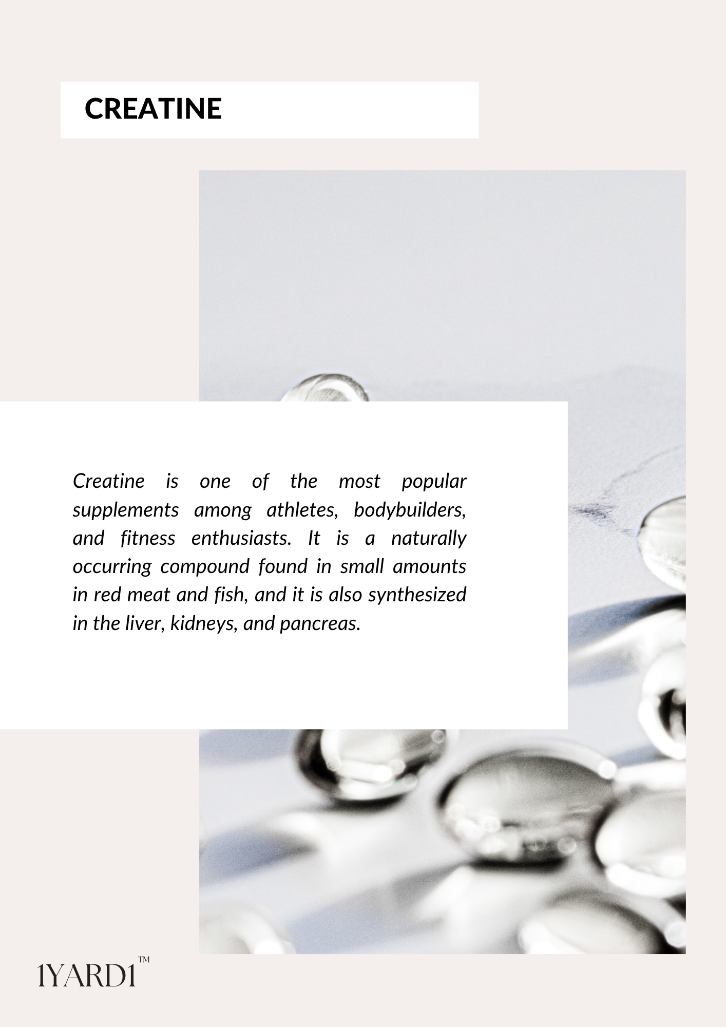 The Complete Nutrition Bundle - 7 Items by 1Yard1