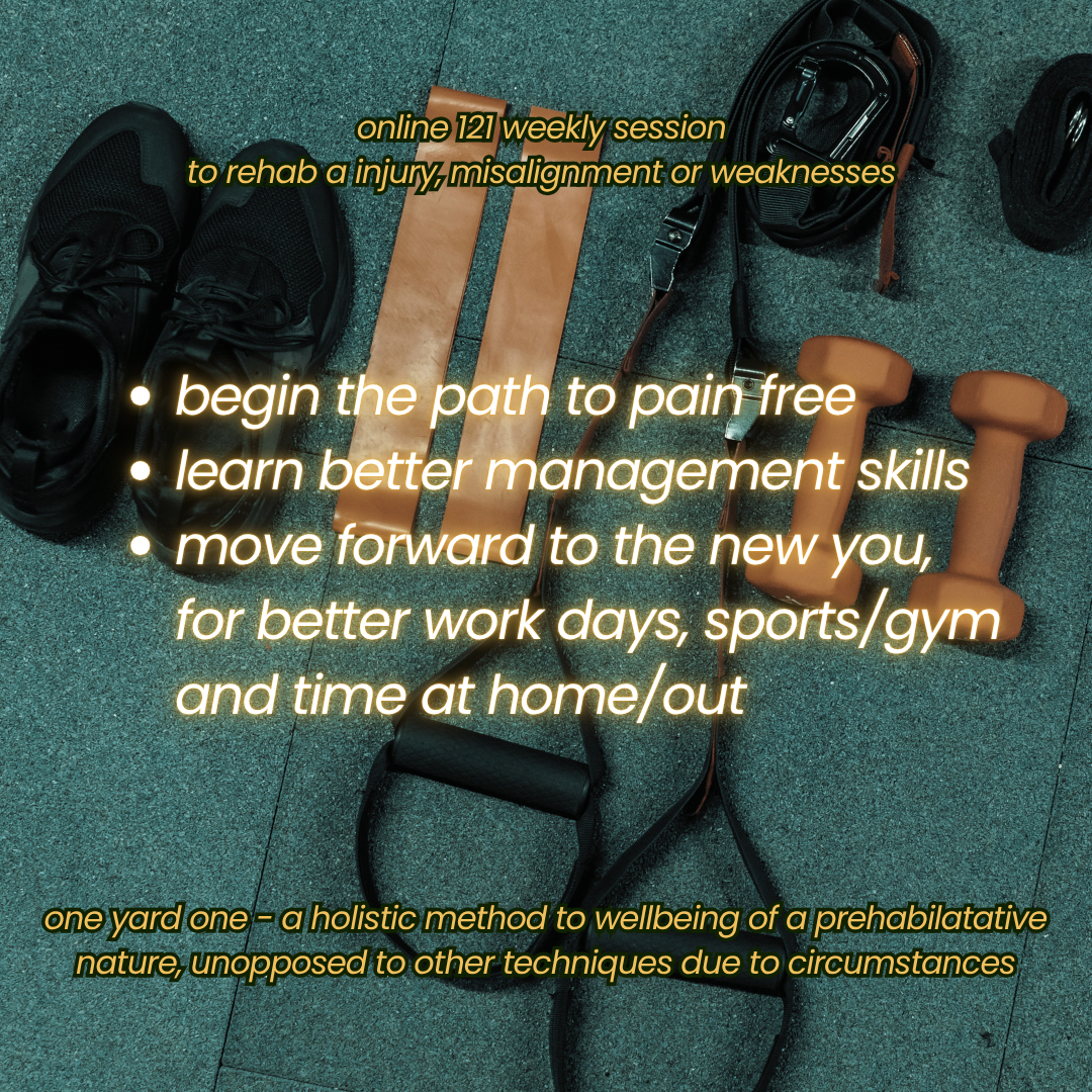 Prehab/Rehab Sessions