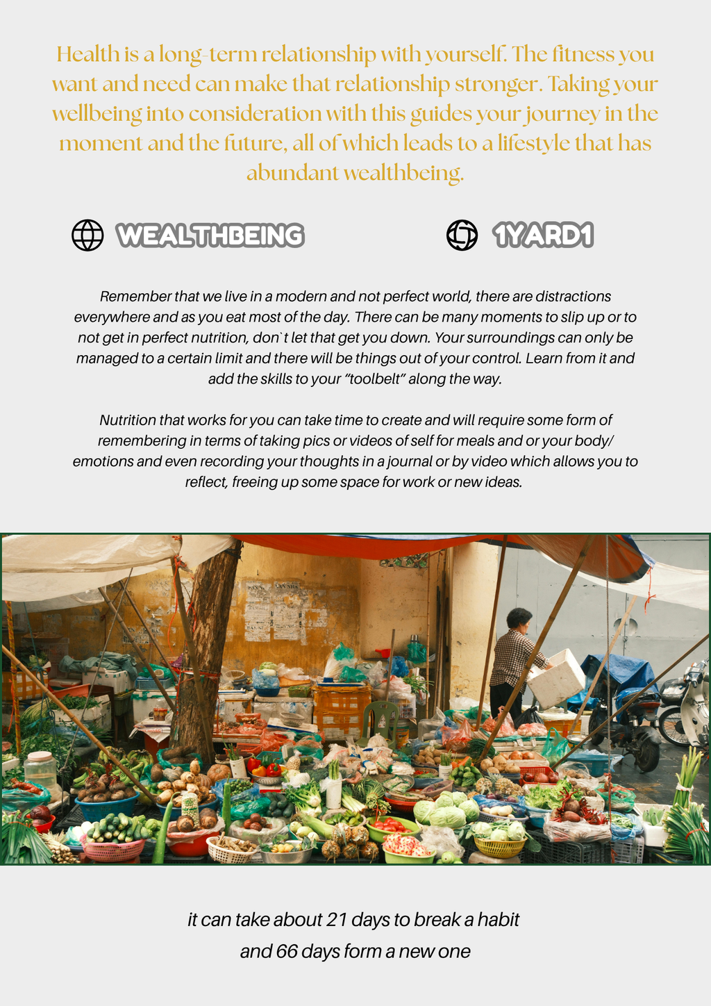 The Complete Nutrition Bundle - 7 Items by 1Yard1